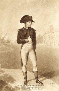 Napoleón Bonaparte, Primer Cónsul de French School